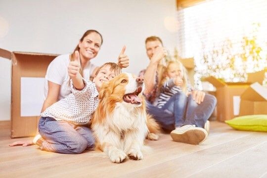 犬の『基本のしつけ』ってどういうもの？「おすわり」「まて」を教えるより前に大切にすべき3つのこと