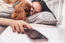 犬が飼い主に顔を擦り付ける心理5つ　何度もスリスリしてくる理由とは？