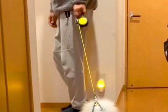 散歩の練習で『子犬にリードを装着した』結果→歩こうとしないので、引っ張ると…まさかの『モップ化』に反響「どこで買えますか？」「可愛いｗ」