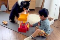 『小さな男の子と犬が一緒に遊んでいる』と思ったら…？想定外だった『まさかの企み』に反響「ガン見で草」「タイミング待ちｗｗ」