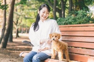 遠くを見つめるトイプードルと女性