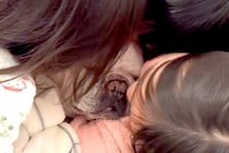 子供たちに囲まれた犬→妹がキスをしたら…愛されすぎた犬の『無を極めた表情』に幸せがあふれていると22万再生「優しい顔」「愛されワンコ」