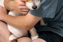 お父さんの腕の中で『怖い』と怯える犬→想定外だった『まさかの理由』と『数十秒後の姿』に2万いいね「確かに怖いかもｗ」「可愛すぎる」と絶賛
