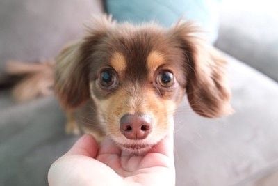 顔のアップ、あごに手をそえる