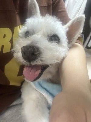 ちーちゃん
