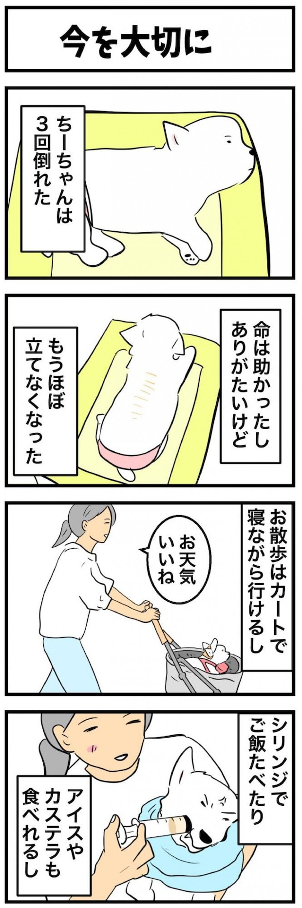 ちーちゃんですけどもっ【第364
話】　1
