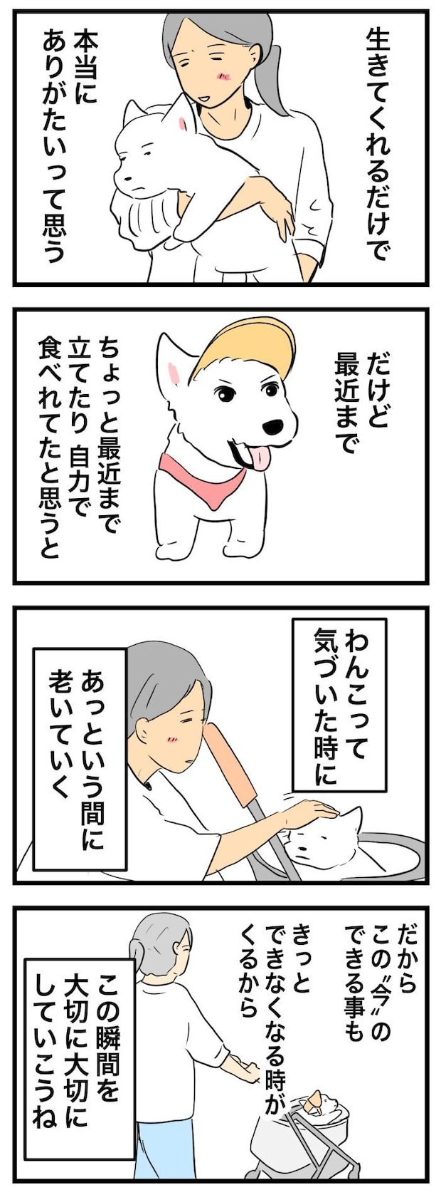 ちーちゃんですけどもっ【第364
話】　2