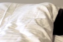 朝、寝ている妻の方から『荒い鼻息』が聞こえたので振り返った結果→『まさかの光景』が45万再生「セクシーすぎて草」「なんて色っぽいのｗ」