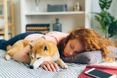 ベッドで寝落ちする女の子と柴犬