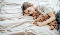 犬が飼い主と『一緒に寝てくれない』理由５選　見直すべき睡眠環境や愛犬の本音まで解説
