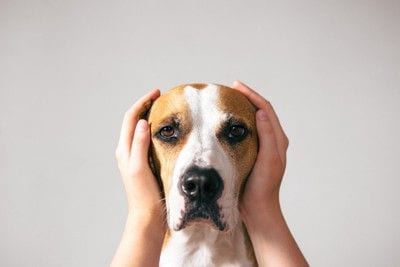 うつろな表情、両手をそえる
