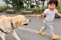1歳の女の子が『初めて大型犬のリードを持った』結果→歩き始めると…素敵すぎる『まさかの対応』が53万再生「さすがお姉ちゃん」「感動」