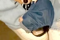 ビビりな赤ちゃん犬の初散歩→地面に降ろそうとすると…怯えすぎて見せた『まさかの行動と表情』が7万再生「心から愛おしい」「可愛すぎる」