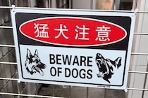 『猛犬注意の看板』があったので、覗いた結果→下の方を見ると…思っていたのと違う光景に爆笑の声「かわいすぎる猛犬ｗ」「笑いましたｗｗ」