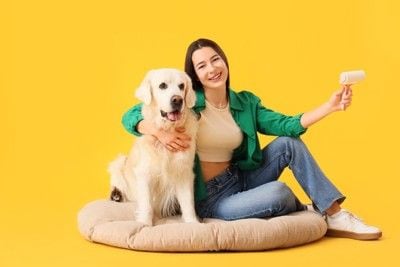 粘着テープを持つ女性と犬