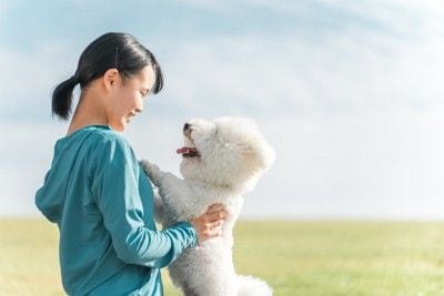 女の子と犬