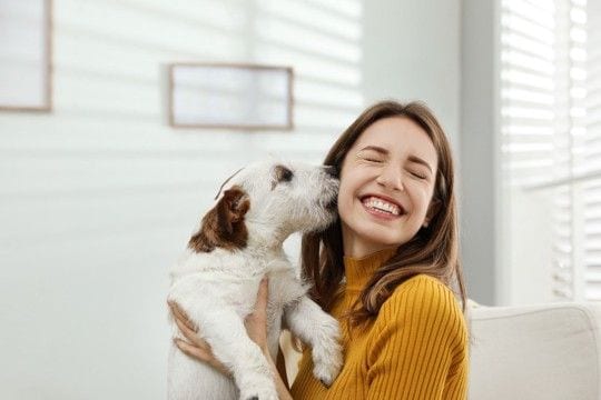 犬が『飼い主の帰宅を喜ぶ』理由4つ 大興奮でお迎えするのはなぜ?注意点まで解説
