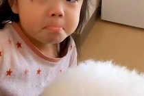 朝、3歳の女の子が『寝ている犬を起こそうとした』結果→反応がなく『死んでしまった』と勘違いして…愛に溢れた光景が52万再生「演技派ｗ」