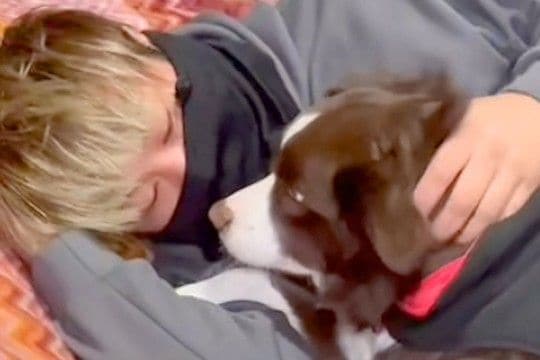 犬が『飼い主を好きになりすぎた』結果→距離を取ろうとすると…まるでカップルのような『尊い光景』が262万再生「前世は恋人」「愛が伝わる」