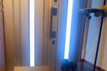 おばあちゃんと電話していたら、2匹の犬が察して…玄関で見せた『愛おしすぎる待ち姿』が7万再生「健気でかわいい」「大好きなのがわかる」