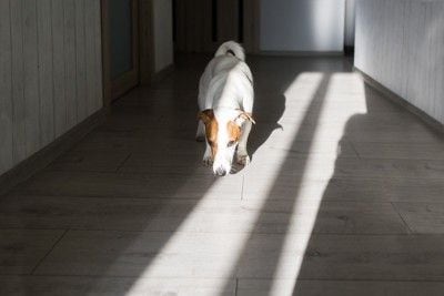 光の入る廊下