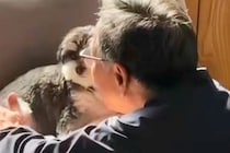 『犬だけは絶対に飼うな』と言っていた父→飼い始めてみると、ふたりで…嘘のような『現在の光景』に胸打たれると反響「泣ける」「やばい感動」