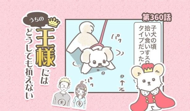 うちの王様にはどうしても抗えない【第360話】「拾い食い②」