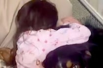 親に叱られ、落ち込んでしまった女の子→超大型犬が近づいて…頼もしすぎる『まさかの表情』が83万再生「訴えてるのよくわかる」「憧れる」