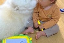 赤ちゃんが生まれた時からずっとそばにいる大型犬→思った以上に『クセの強い見守り方』が32万表示「アザラシ味がすごいｗ」「角度に笑った」