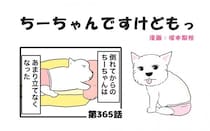 ちーちゃんですけどもっ【第365話】「ちーちゃんはちーちゃん」
