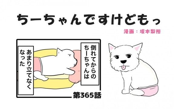 ちーちゃんですけどもっ【第365話】「ちーちゃんはちーちゃん」