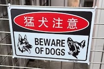 『猛犬注意の看板』があったので、覗いた結果→下の方を見ると…思っていたのと違う光景に爆笑の声「かわいすぎる猛犬ｗ」「笑いましたｗｗ」