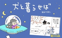 犬と暮らせば【第546話】「イケてる太陽」