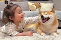 ハイハイをする1歳の女の子→見ていた犬が『負けられない』と意気込み…まさかの『真似っ子』をする光景が39万再生「威厳ｗｗ」「たまらん」