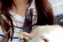 大型犬パピーを飼った初日→帰りの車内で『緊張してしまうかな』と思ったら…予想外な光景が98万再生「心開きすぎｗｗ」「もう幸せな家族」