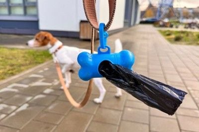 青い骨形、黒い袋