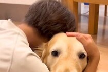 息子が泣いていると『大型犬』が必ず心配をしてくれて…あまりにも尊い『家族愛に溢れた記録』が23万再生「泣けてきた…」「セラピー犬だね」