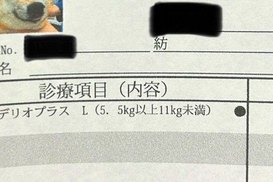 動物病院でもらった『診療明細書』→犬の顔写真も載っていて…まさかの『表情』に11万いいね集まる「最高に可愛いw」「履歴書みたいで良い」