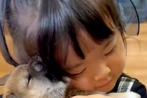 小さな女の子が『ムチムチの赤ちゃん犬を抱っこした』結果→たまらなく愛おしい『サイズ感』に悶絶の声「小さなママさん」「なんて微笑ましい」
