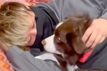 犬が『飼い主を好きになりすぎた』結果→距離を取ろうとすると…まるでカップルのような『尊い光景』が262万再生「前世は恋人」「愛が伝わる」