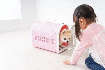 お迎え