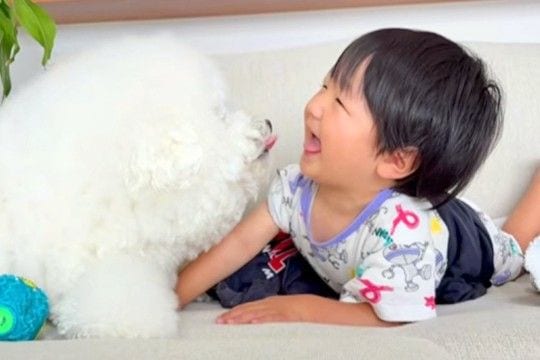 男の子が生まれてからずっと『犬と一緒に過ごした』結果…お互いに愛が止まらない『素敵すぎる記録』が12万再生「幸せの象徴」「涙出てきた」