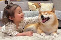 ハイハイをする1歳の女の子→見ていた犬が『負けられない』と意気込み…まさかの『真似っ子』をする光景が39万再生「威厳ｗｗ」「たまらん」