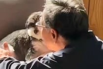 『犬だけは絶対に飼うな』と言っていた父→飼い始めてみると、ふたりで…嘘のような『現在の光景』に胸打たれると反響「泣ける」「やばい感動」