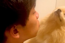 おしっこ失敗した犬が『パパに怒られた』結果→寝たふりをして…まさかの『表情』が329万再生「どこで覚えたん？ｗｗ」「薄目開けてて草」