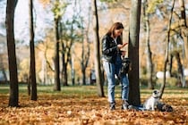 『責任感がない』犬の飼い主がしがちな行動5つ　愛犬を危険にさらすタブー行為とは？