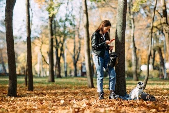 『責任感がない』犬の飼い主がしがちな行動5つ　愛犬を危険にさらすタブー行為とは？