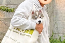 生後2ヶ月の子犬と写真撮影→1年後、同じ場所で同じように撮ってみたら…あまりにデカい『衝撃の一枚』に9万いいね「恐るべしｗ」「バグで草」
