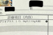 動物病院でもらった『診療明細書』→犬の顔写真も載っていて…まさかの『表情』に11万いいね集まる「最高に可愛いｗ」「履歴書みたいで良い」