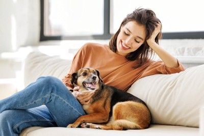 ソファーに人と犬